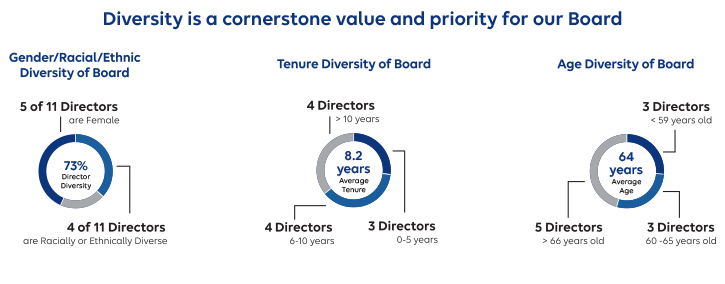 Chart showing the diversity of the Board