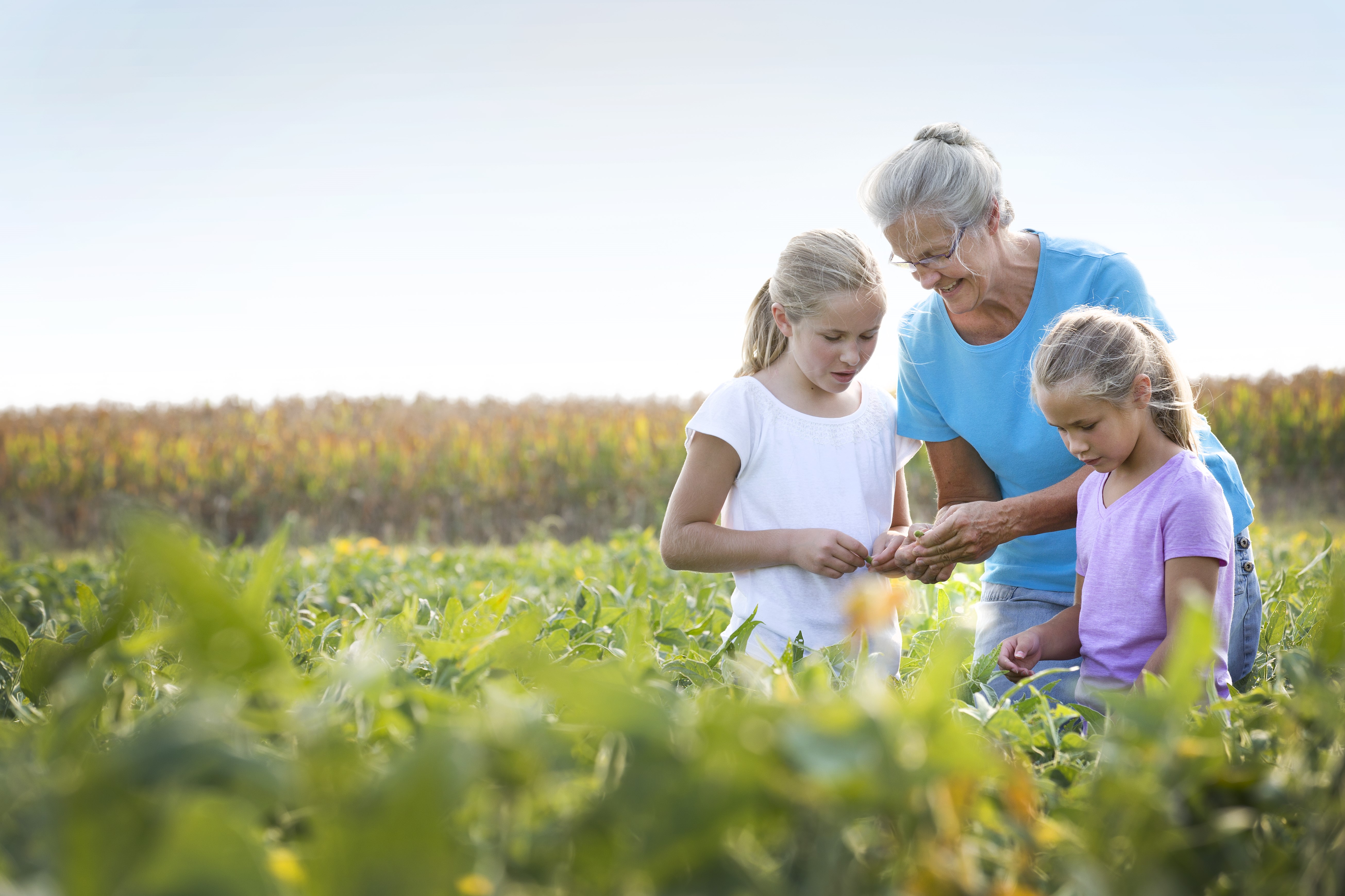 Photo inspiration: Visual Reference: Telemedicine In Rural Communities